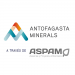 14_Antofagasta-Minerals_500