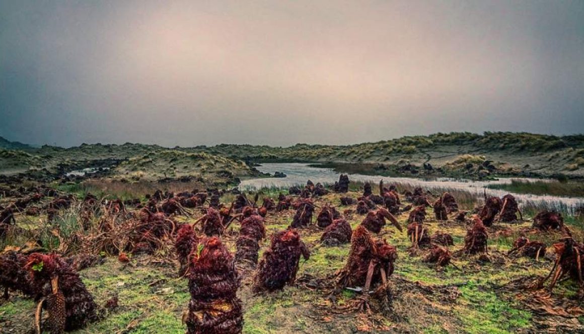 40004203061_e376857234_c