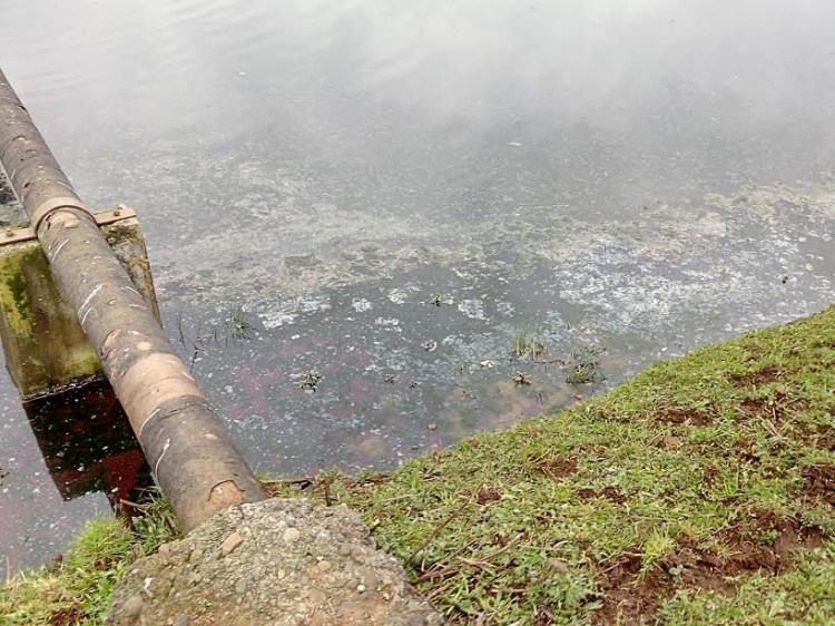 Aguas-servidas-.-perquenco