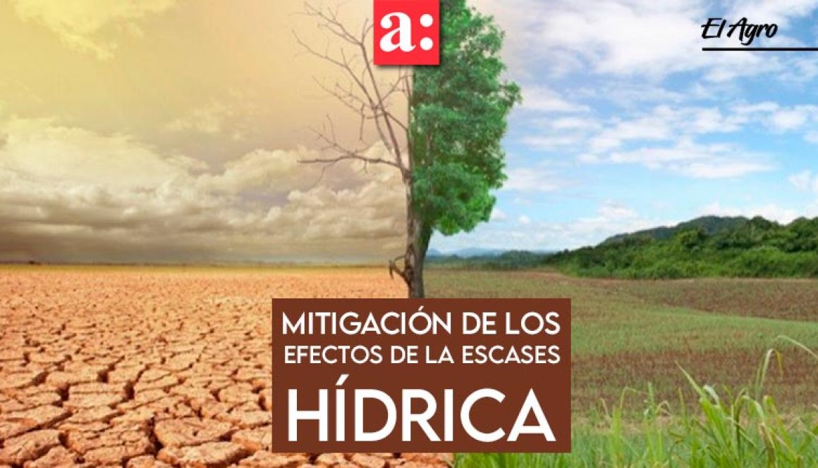 Escasez-hídrica