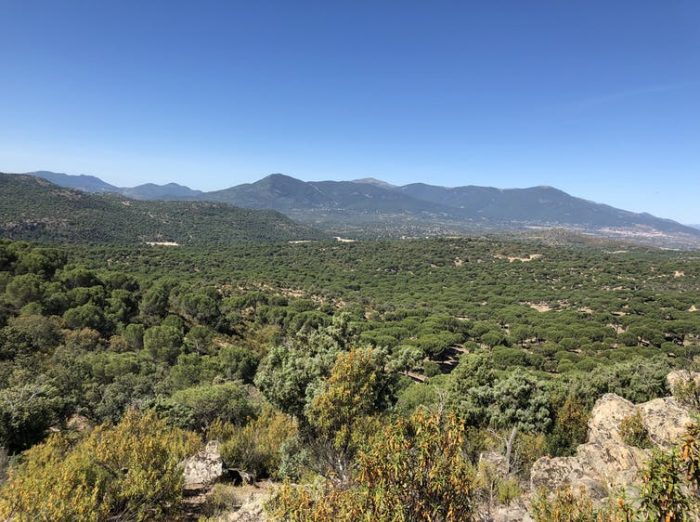 file-20210408-23-563y83-700x522