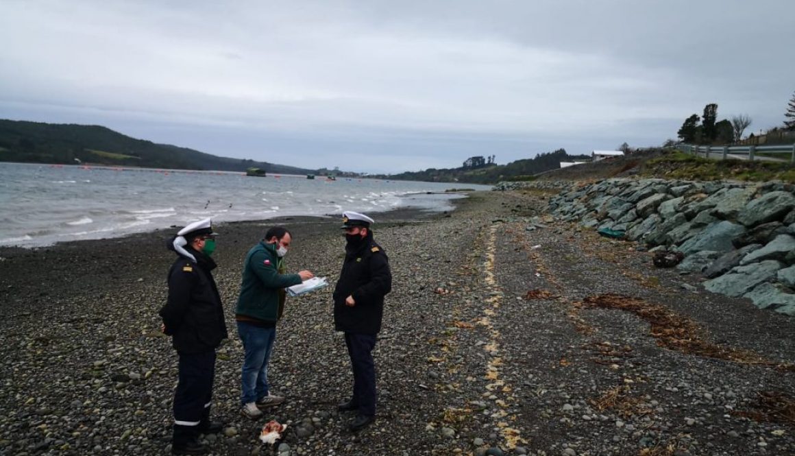 921ff493-2c51-4abe-9c47-934e287d7923-2