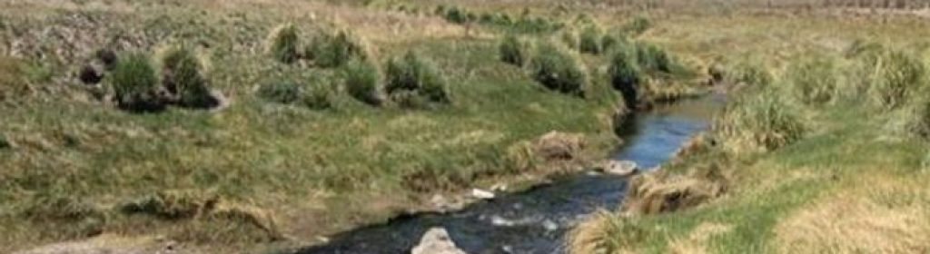 Río-Loa-696x463-1