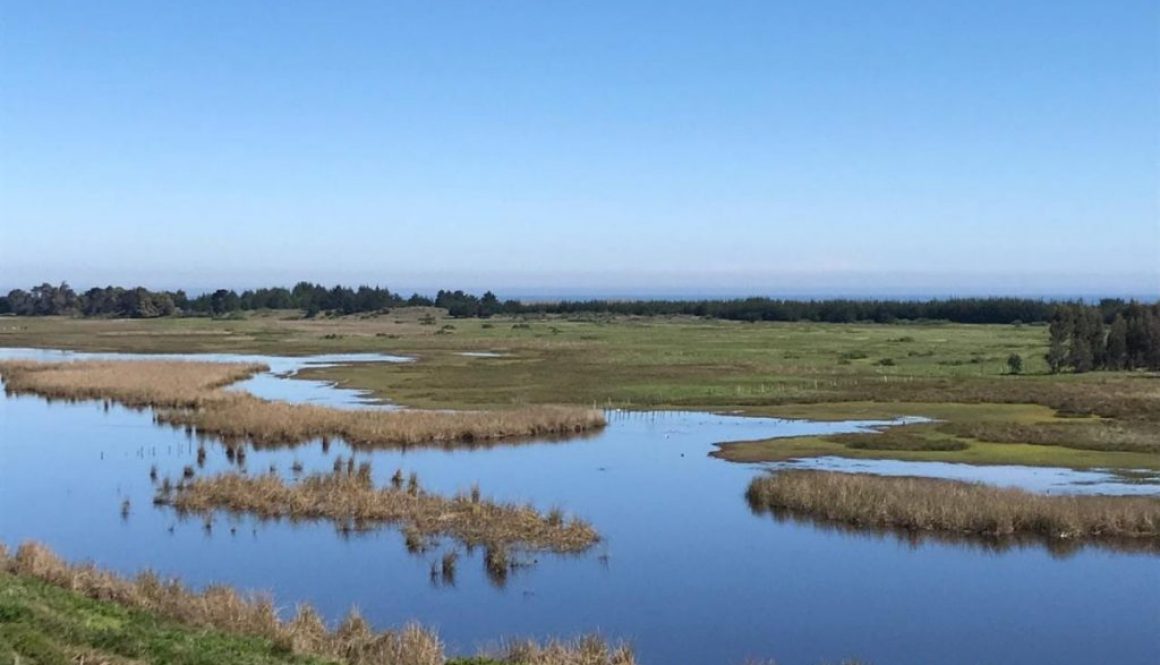 unnamed-7-1200x900-1