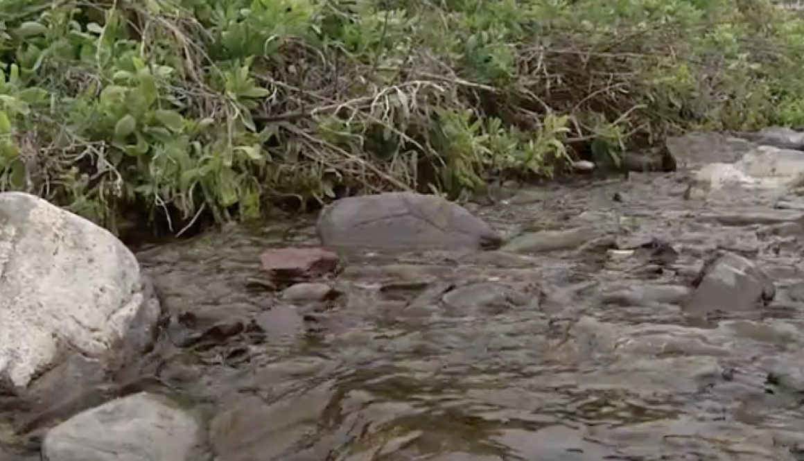 Captura-de-pantalla-2020-10-26-a-las-13.40.56