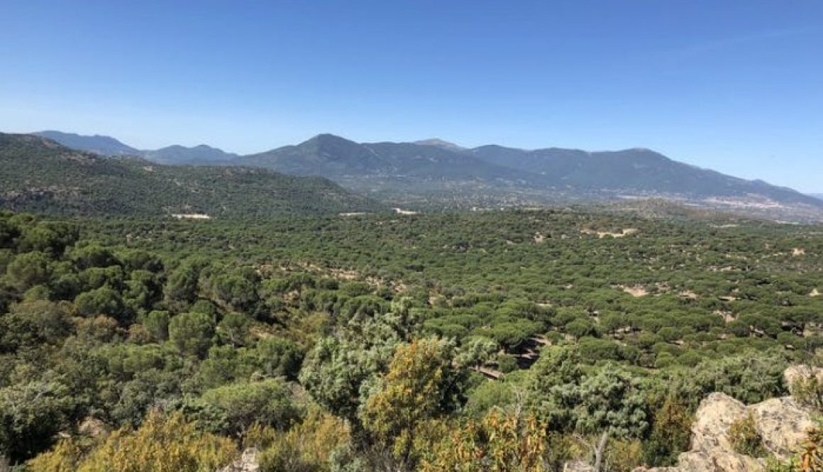 file-20210408-23-563y83-700x522