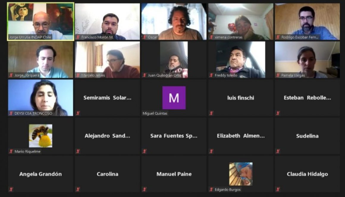 TALLER-MODERNIZACION-Y-CAMBIO-CLIMATICO-BIOBIO-950x576